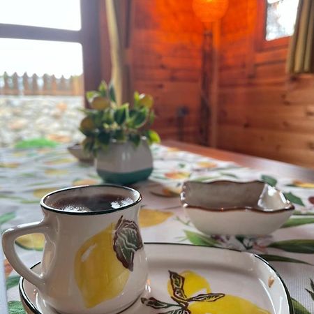 Andizalti Doga Evleri Limon Ev Datca Villa Exterior foto