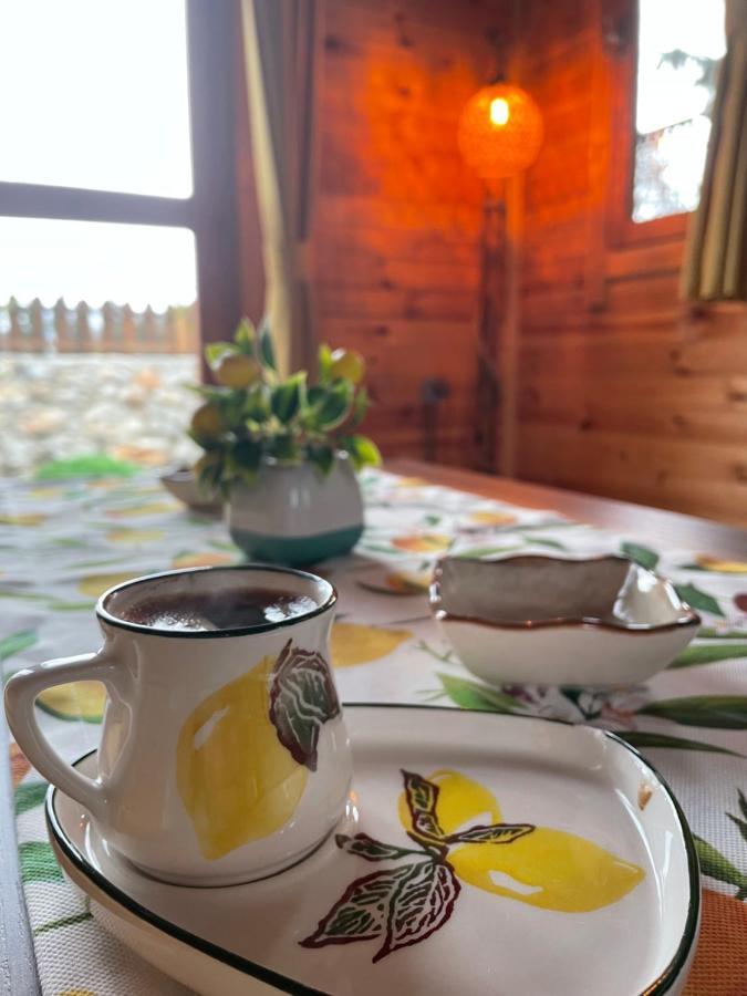 Andizalti Doga Evleri Limon Ev Datca Villa Exterior foto